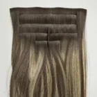 Balayage Carey