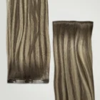 Balayage Carey